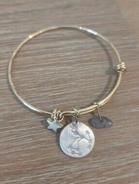 Horoscope Cubic Zirconia Disk Bangle Bracelet with Genuine Stone & Star Charm